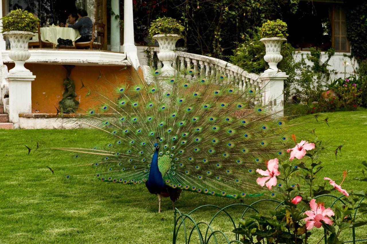 La Mirage Garden Hotel & Spa Cotacachi Exterior photo